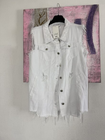 Giubbino Jeans Smanicato